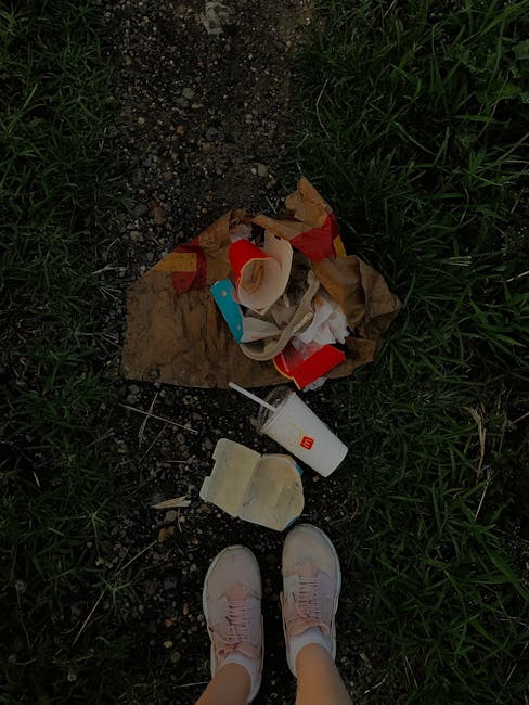 Vanbrugh Park fast rubbish removal tips for homeowners